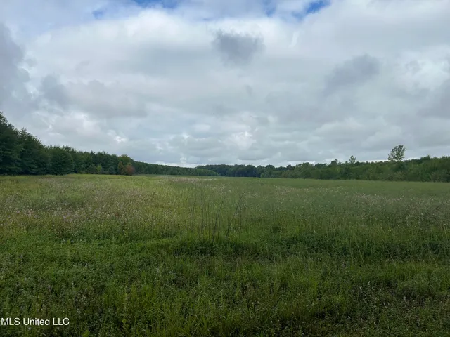 $949,900 | 278 Hwy Marks Ms 38646, Marks, MS 38646