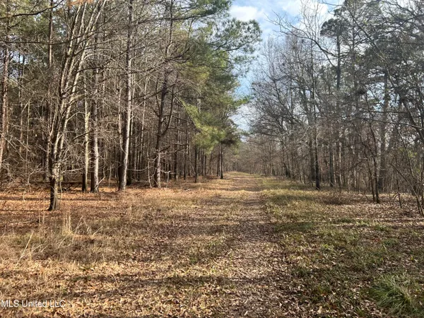 $949,900 | 278 Hwy Marks Ms 38646, Marks, MS 38646