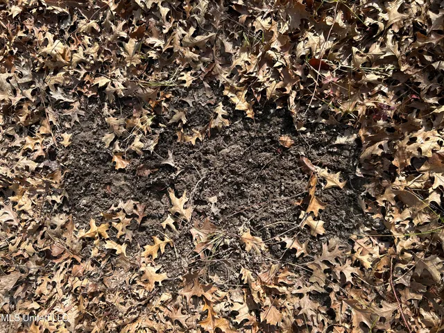 $949,900 | 278 Hwy Marks Ms 38646, Marks, MS 38646