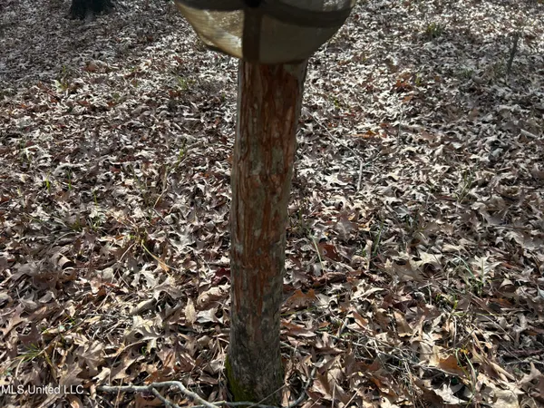 $949,900 | 278 Hwy Marks Ms 38646, Marks, MS 38646