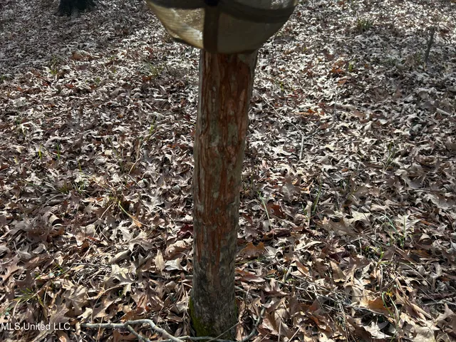 $949,900 | 278 Hwy Marks Ms 38646, Marks, MS 38646