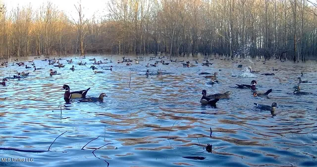 $949,900 | 278 Hwy Marks Ms 38646, Marks, MS 38646