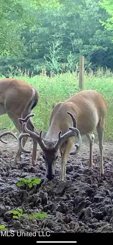 $949,900 | 278 Hwy Marks Ms 38646, Marks, MS 38646