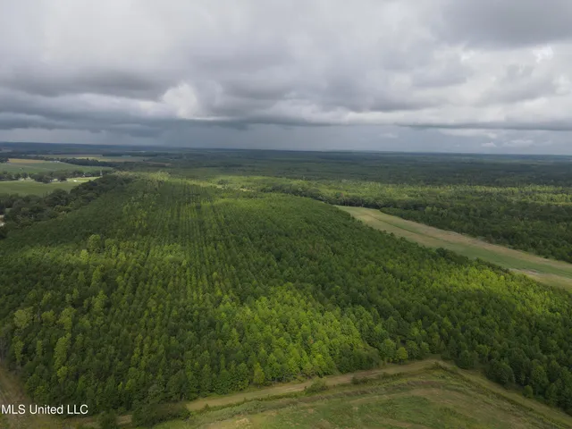 $949,900 | 278 Hwy Marks Ms 38646, Marks, MS 38646