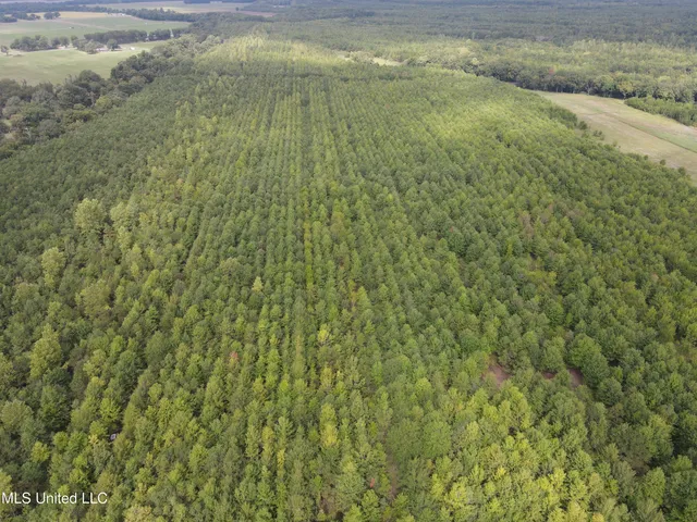 $949,900 | 278 Hwy Marks Ms 38646, Marks, MS 38646