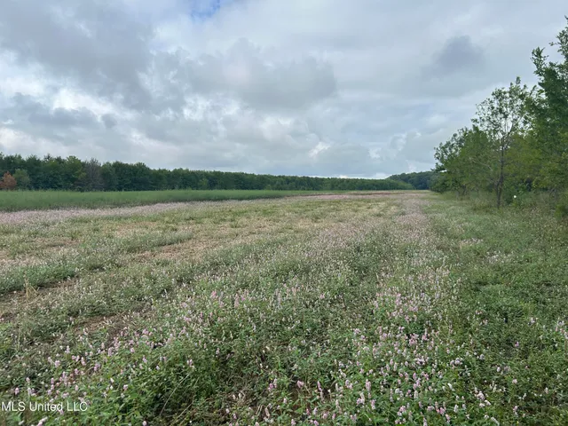 $949,900 | 278 Hwy Marks Ms 38646, Marks, MS 38646