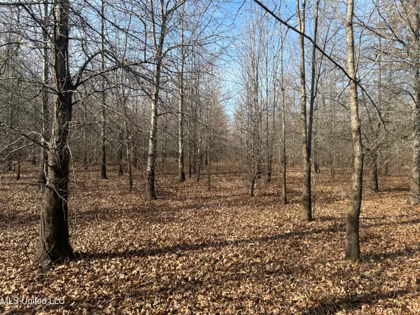 $949,900 | 278 Hwy Marks Ms 38646, Marks, MS 38646