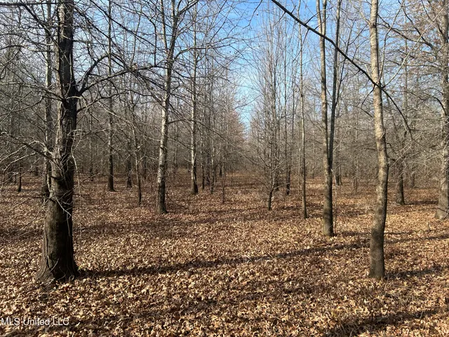 $949,900 | 278 Hwy Marks Ms 38646, Marks, MS 38646