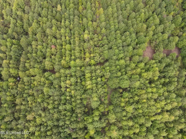 $949,900 | 278 Hwy Marks Ms 38646, Marks, MS 38646