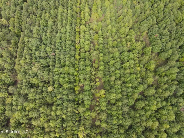 $949,900 | 278 Hwy Marks Ms 38646, Marks, MS 38646