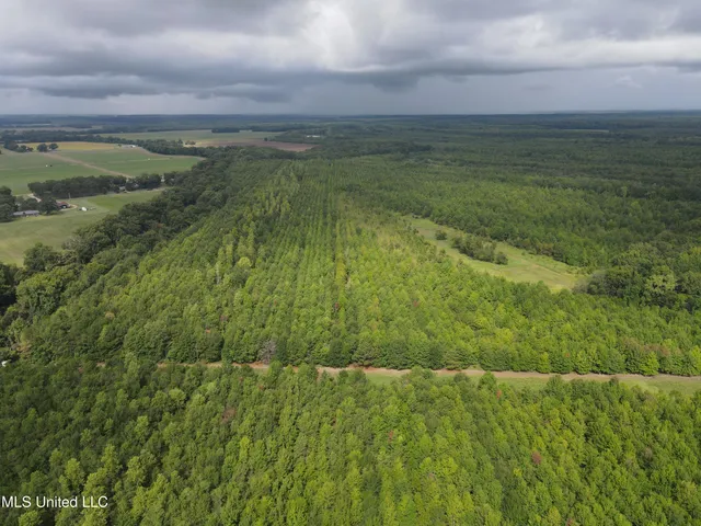 $949,900 | 278 Hwy Marks Ms 38646, Marks, MS 38646