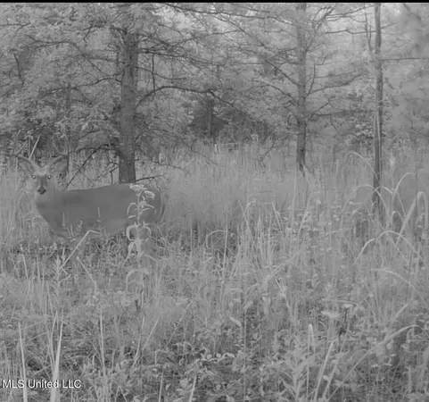 $949,900 | 278 Hwy Marks Ms 38646, Marks, MS 38646