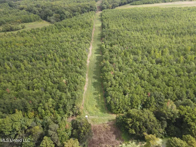 $949,900 | 278 Hwy Marks Ms 38646, Marks, MS 38646