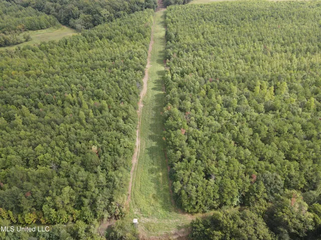 $949,900 | 278 Hwy Marks Ms 38646, Marks, MS 38646