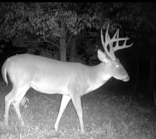 $949,900 | 278 Hwy Marks Ms 38646, Marks, MS 38646