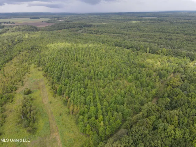 $949,900 | 278 Hwy Marks Ms 38646, Marks, MS 38646