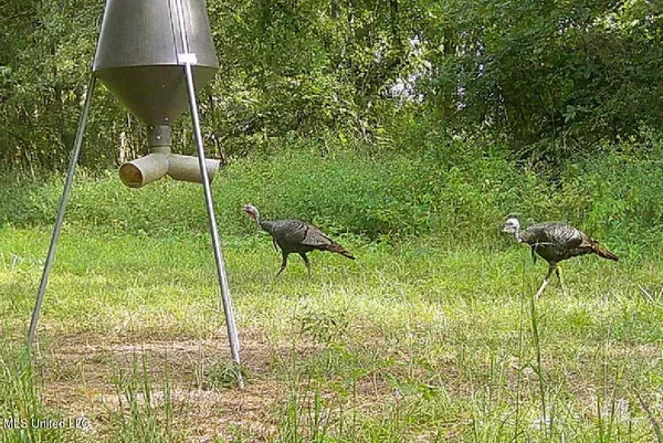 $949,900 | 278 Hwy Marks Ms 38646, Marks, MS 38646