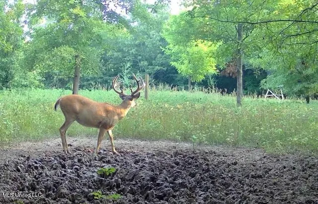 $949,900 | 278 Hwy Marks Ms 38646, Marks, MS 38646