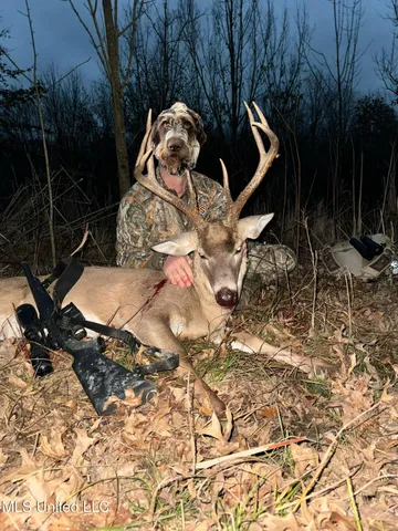 $949,900 | 278 Hwy Marks Ms 38646, Marks, MS 38646