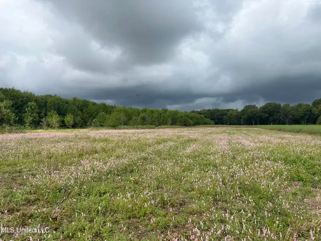 $949,900 | 278 Hwy Marks Ms 38646, Marks, MS 38646