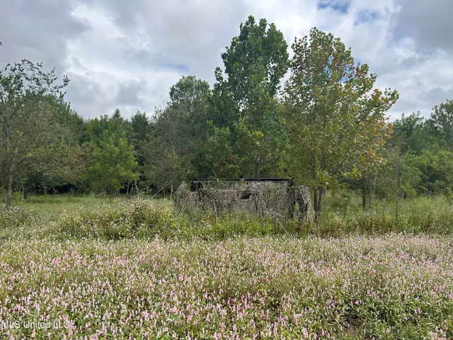 $949,900 | 278 Hwy Marks Ms 38646, Marks, MS 38646