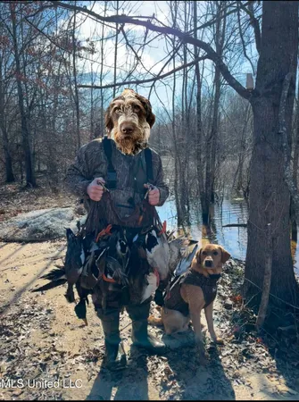 $949,900 | 278 Hwy Marks Ms 38646, Marks, MS 38646