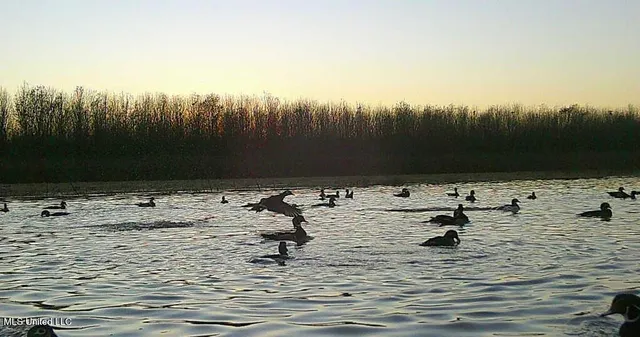 $949,900 | 278 Hwy Marks Ms 38646, Marks, MS 38646