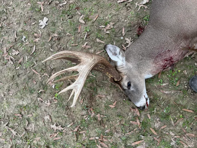 $949,900 | 278 Hwy Marks Ms 38646, Marks, MS 38646