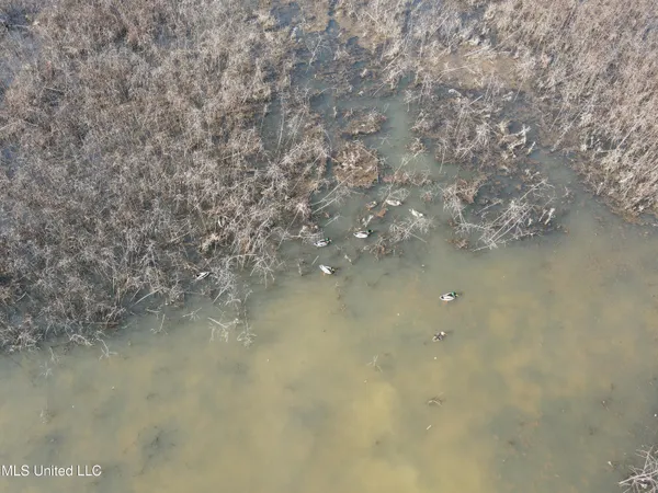 $949,900 | 278 Hwy Marks Ms 38646, Marks, MS 38646