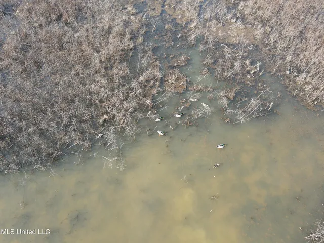 $949,900 | 278 Hwy Marks Ms 38646, Marks, MS 38646