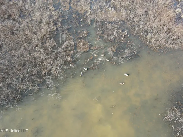 $949,900 | 278 Hwy Marks Ms 38646, Marks, MS 38646