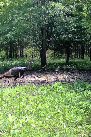 $949,900 | 278 Hwy Marks Ms 38646, Marks, MS 38646