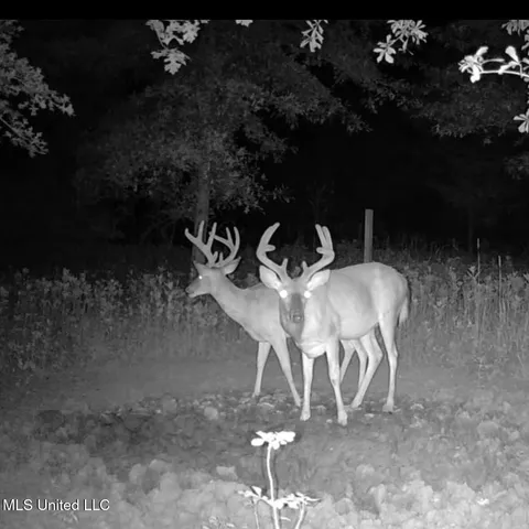 $949,900 | 278 Hwy Marks Ms 38646, Marks, MS 38646