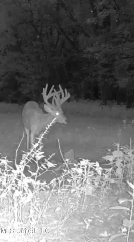 $949,900 | 278 Hwy Marks Ms 38646, Marks, MS 38646