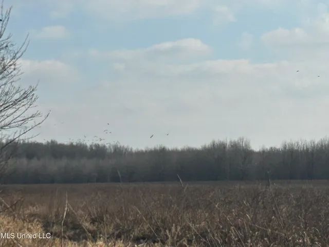 $949,900 | 278 Hwy Marks Ms 38646, Marks, MS 38646