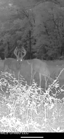 $949,900 | 278 Hwy Marks Ms 38646, Marks, MS 38646