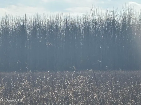 $949,900 | 278 Hwy Marks Ms 38646, Marks, MS 38646