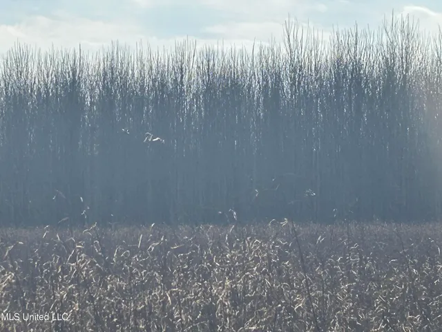 $949,900 | 278 Hwy Marks Ms 38646, Marks, MS 38646