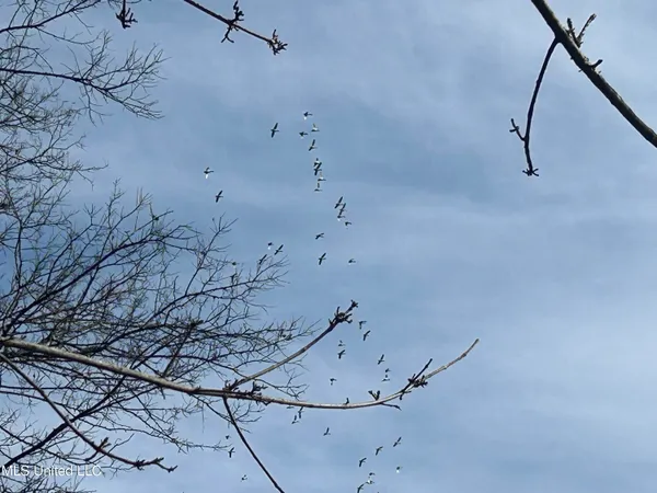 $949,900 | 278 Hwy Marks Ms 38646, Marks, MS 38646