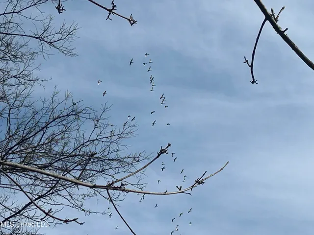 $949,900 | 278 Hwy Marks Ms 38646, Marks, MS 38646