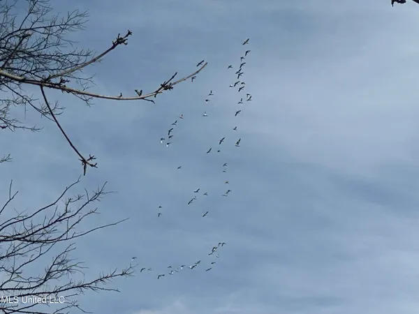 $949,900 | 278 Hwy Marks Ms 38646, Marks, MS 38646