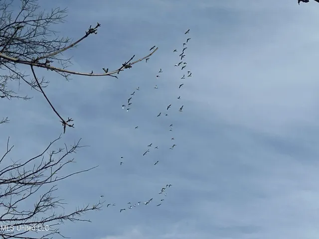 $949,900 | 278 Hwy Marks Ms 38646, Marks, MS 38646