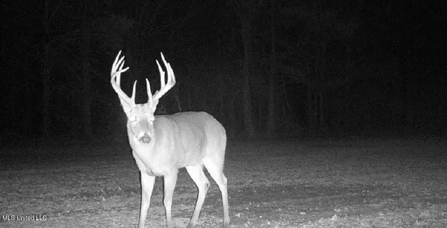 $949,900 | 278 Hwy Marks Ms 38646, Marks, MS 38646