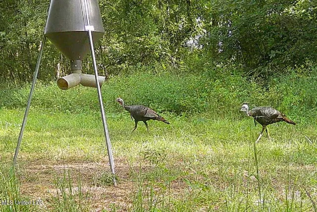 $949,900 | 278 Hwy Marks Ms 38646, Marks, MS 38646