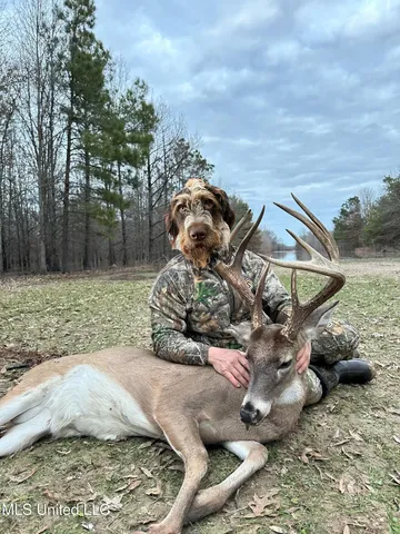 $949,900 | 278 Hwy Marks Ms 38646, Marks, MS 38646