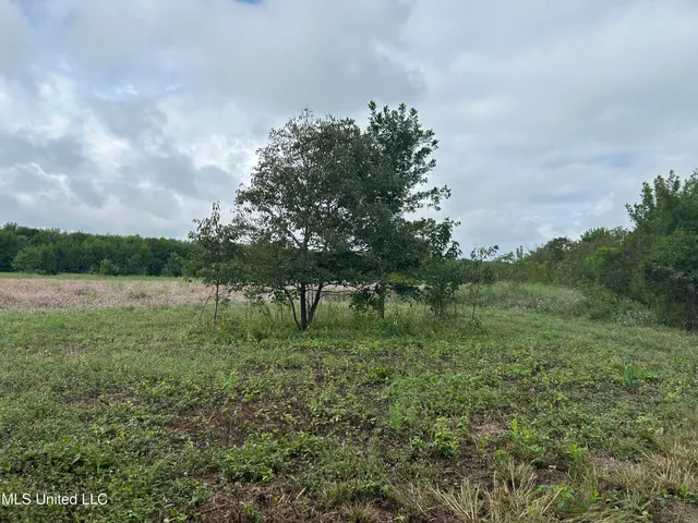 $949,900 | 278 Hwy Marks Ms 38646, Marks, MS 38646