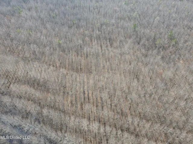 $949,900 | 278 Hwy Marks Ms 38646, Marks, MS 38646