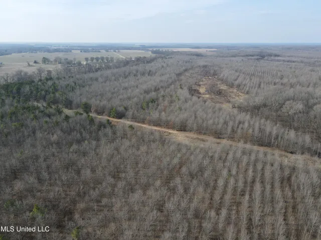 $949,900 | 278 Hwy Marks Ms 38646, Marks, MS 38646