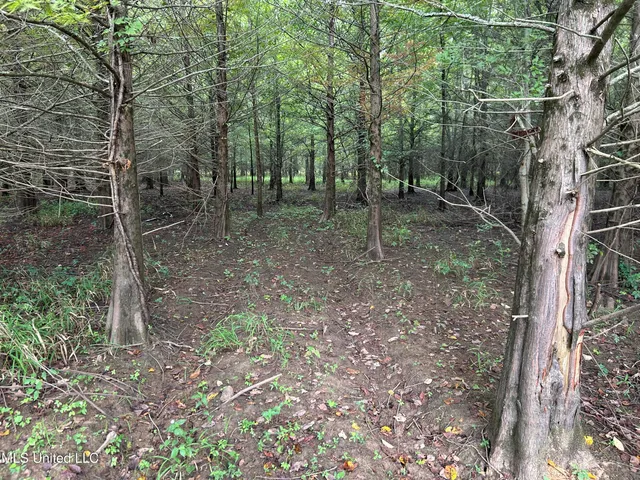 $949,900 | 278 Hwy Marks Ms 38646, Marks, MS 38646