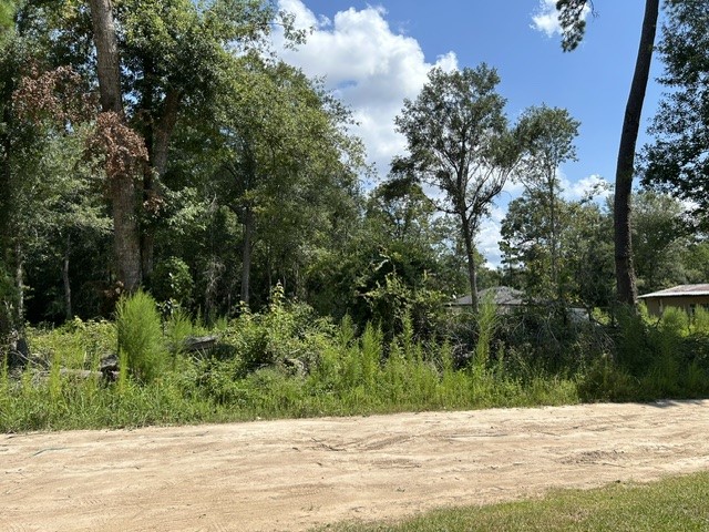 27081 Rocking R Splendora, TX 77372 - Photo 1 of 9